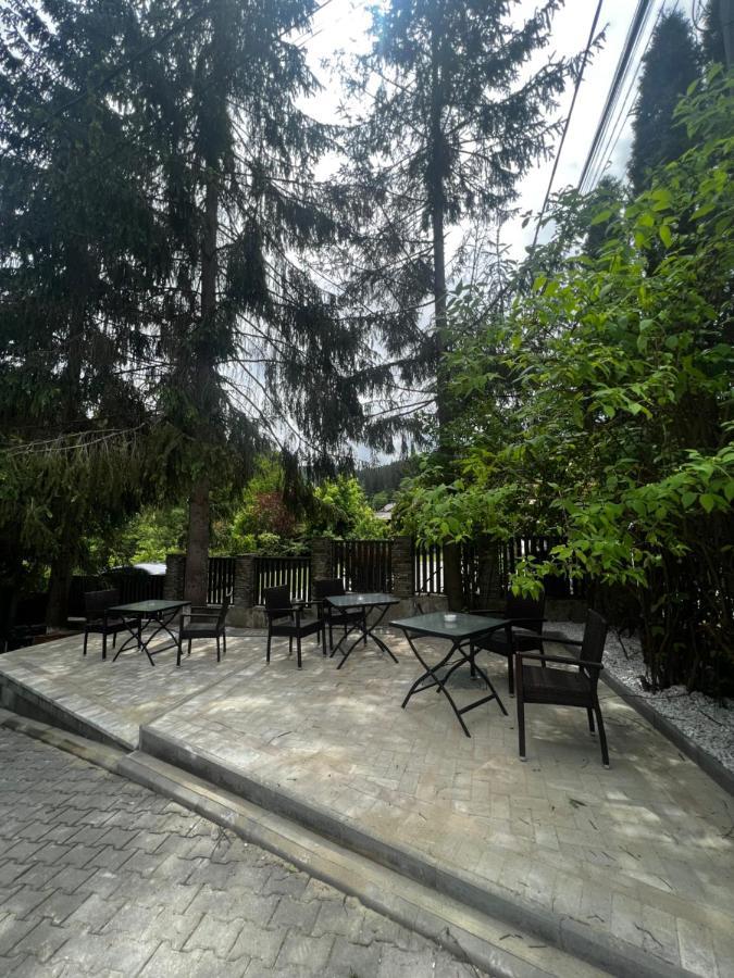 Chalet Minut Vatra Dornei Exteriör bild