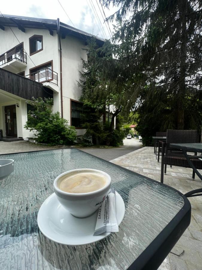 Chalet Minut Vatra Dornei Exteriör bild